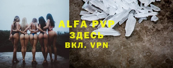 индика Заводоуковск