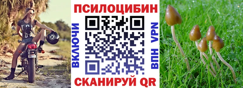 где найти наркотики  сайты даркнета телеграм  Псилоцибиновые грибы Cubensis  Усть-Джегута 